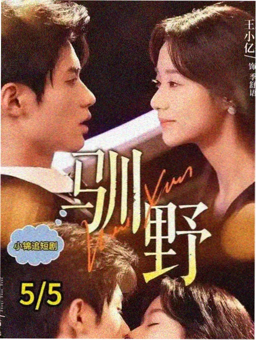 欧美电视剧北境法典